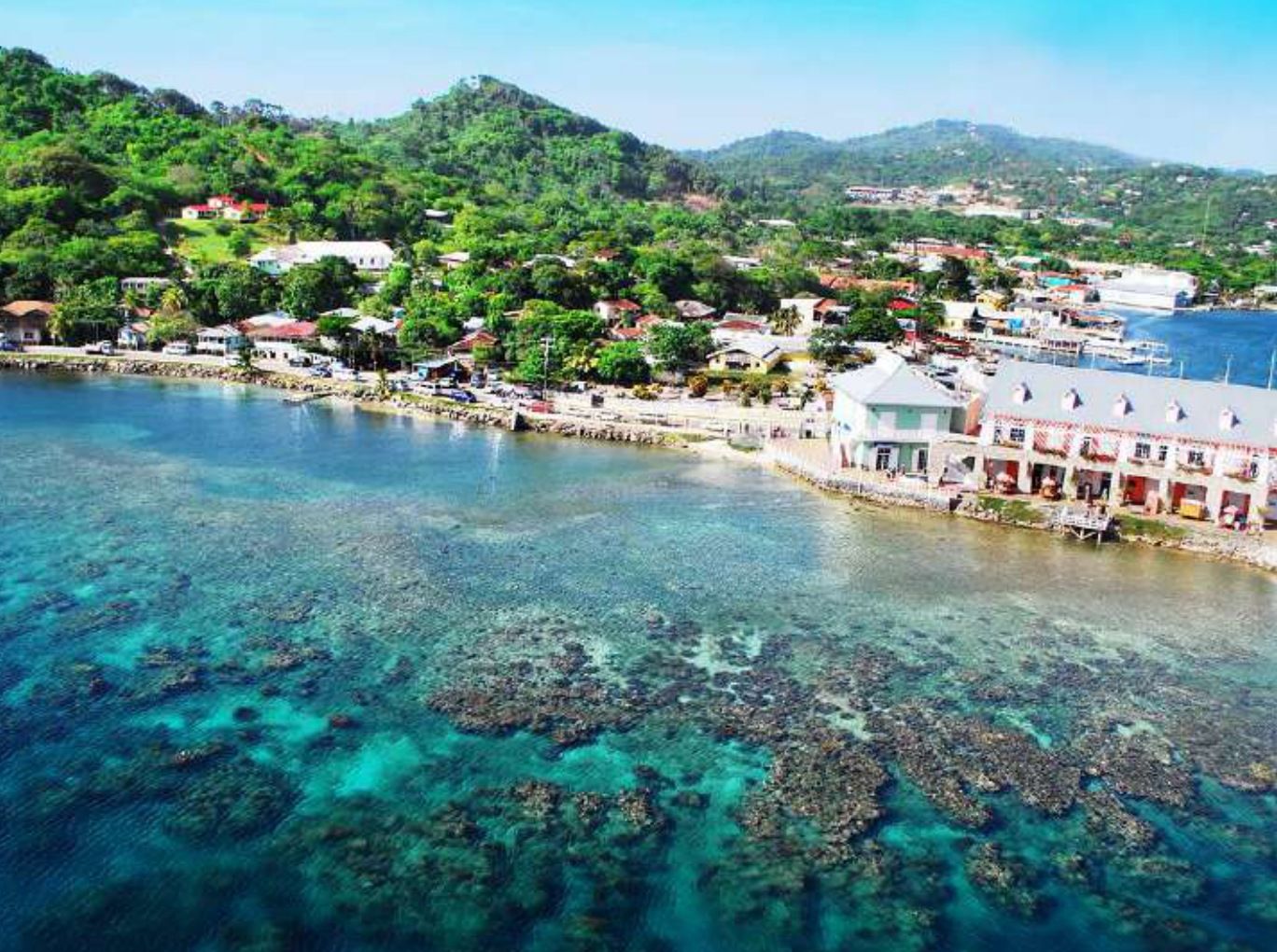 Caribbean island coastline